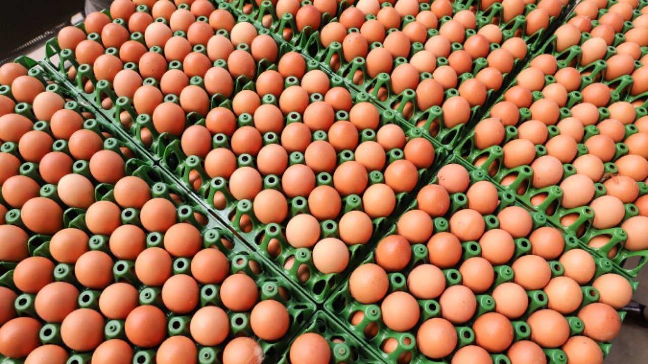 Preços de alimentos e bebidas caem pelo segundo mês consecutivo no Paraná