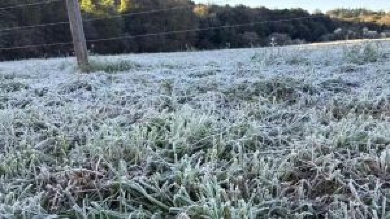 image-2026-04-27-085746-300x169-1