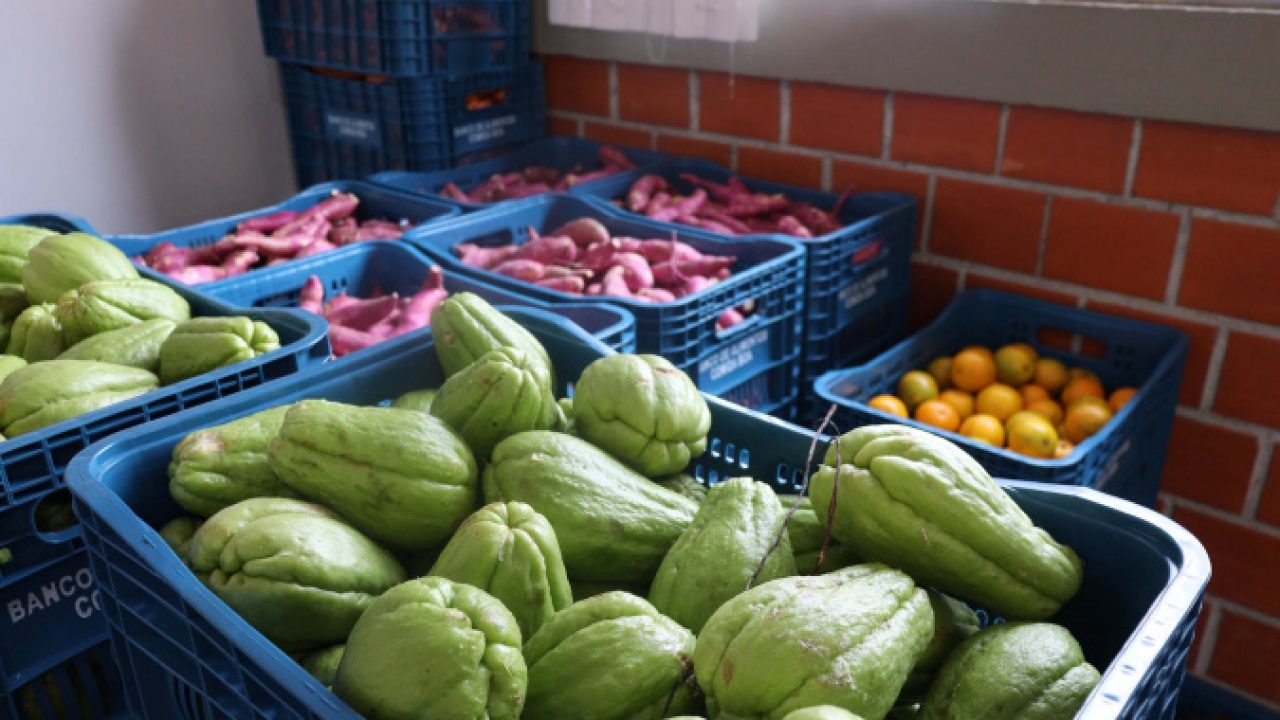 Aparência nem sempre é qualidade: Seab orienta a evitar desperdício de alimentos