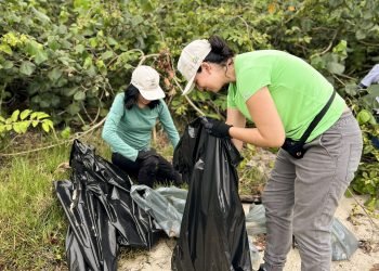 Foto: Governo do Paraná