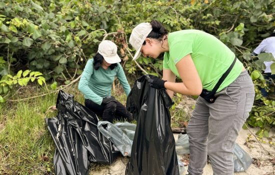 Foto: Governo do Paraná