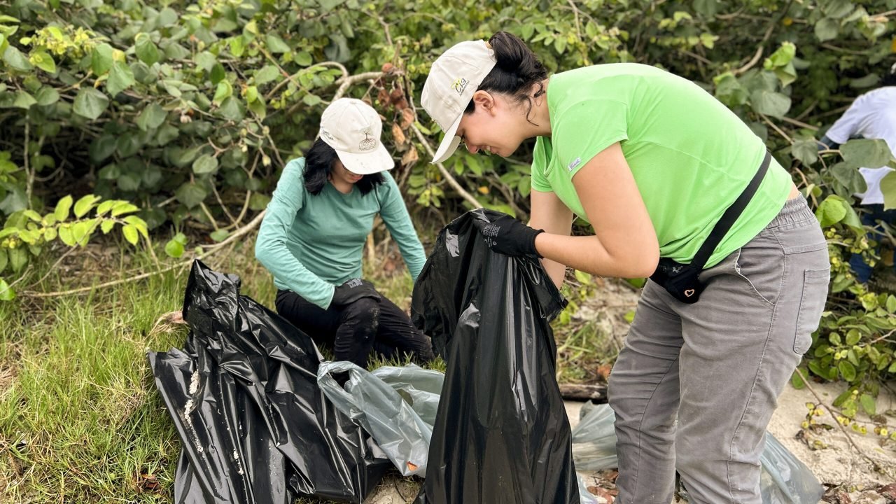 Foto: Governo do Paraná