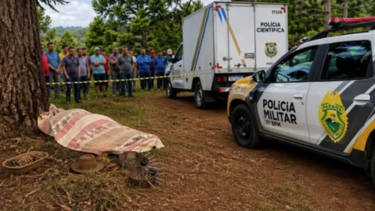 Terra Indígena Ivaí - Foto: Divulgação