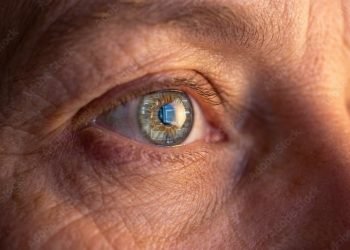 microchip olhos