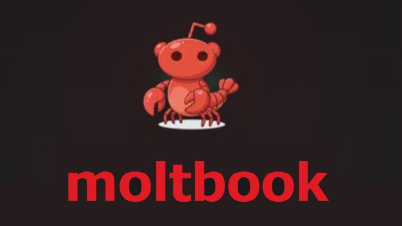 moltbook.jpg
