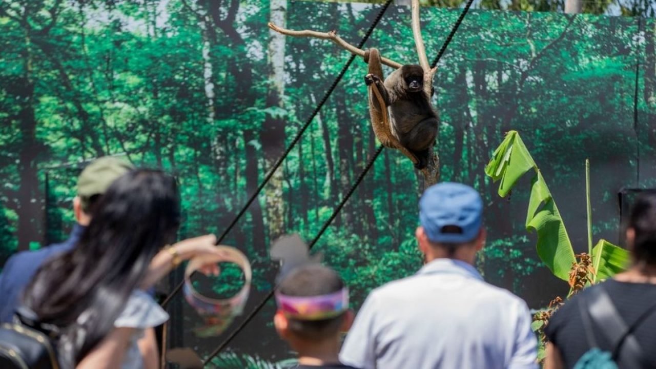moradores-de-foz-do-iguacu-e-regiao-pagam-r-15-para-visitar-o-zoo-park-ate-dia-31-6a88abc7c30bf