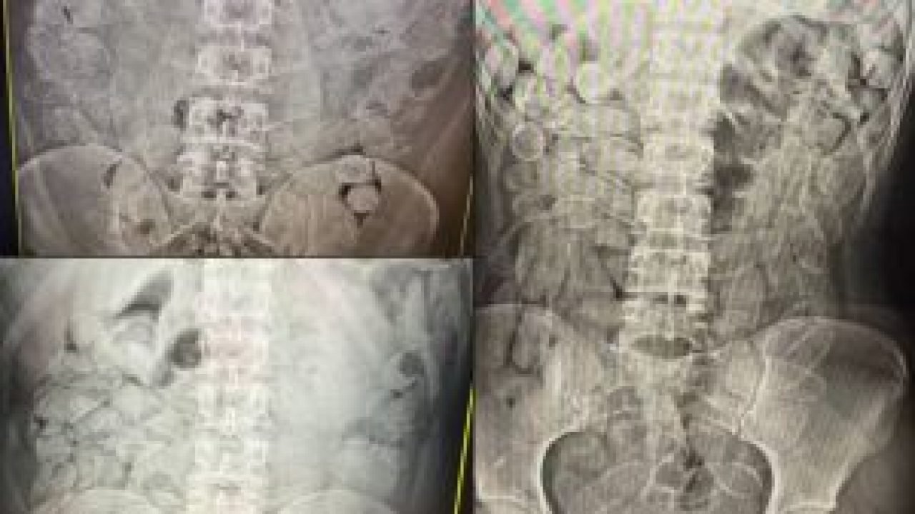 mula-droga-cocaina-receita-federal-300x169-1