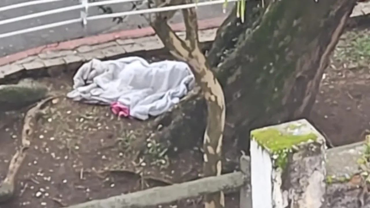 Uma mulher foi encontrada no Passeio Público e aceitou o tratamento da FAS — Fot