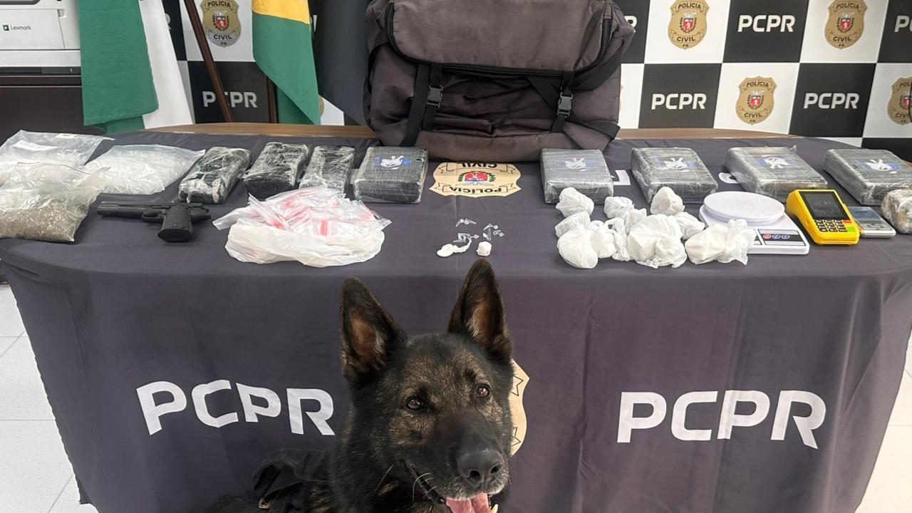 PCPR identifica envolvidos, prende mandante de duplo homicídio e apreende drogas em Matinhos