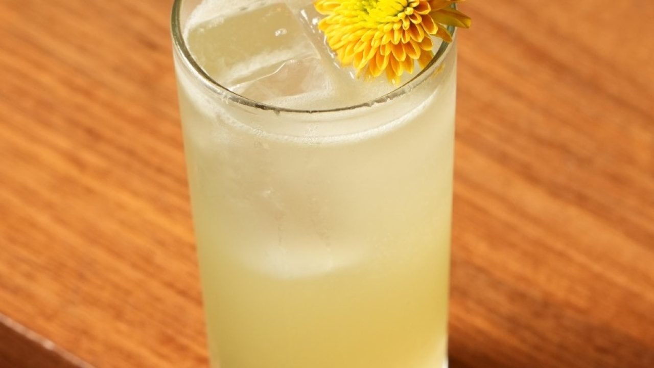 nova-carta-TAIYO-MANGO