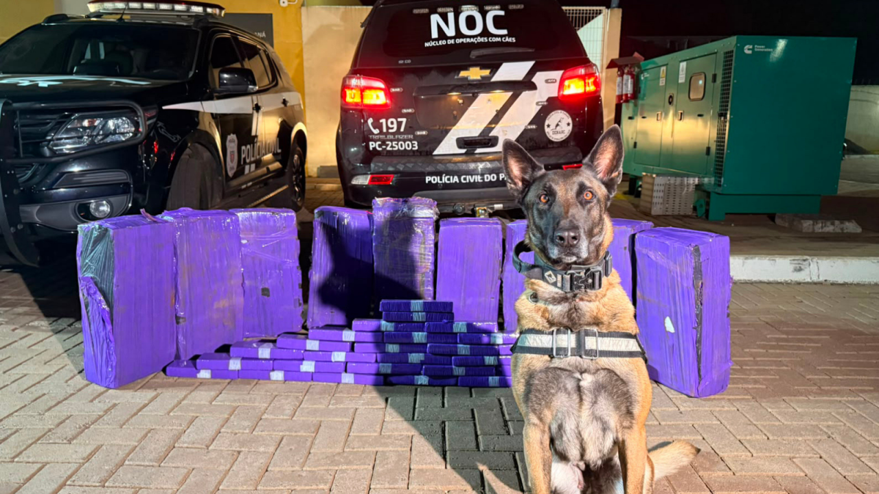 operacao-policial006447220202606081421.png
