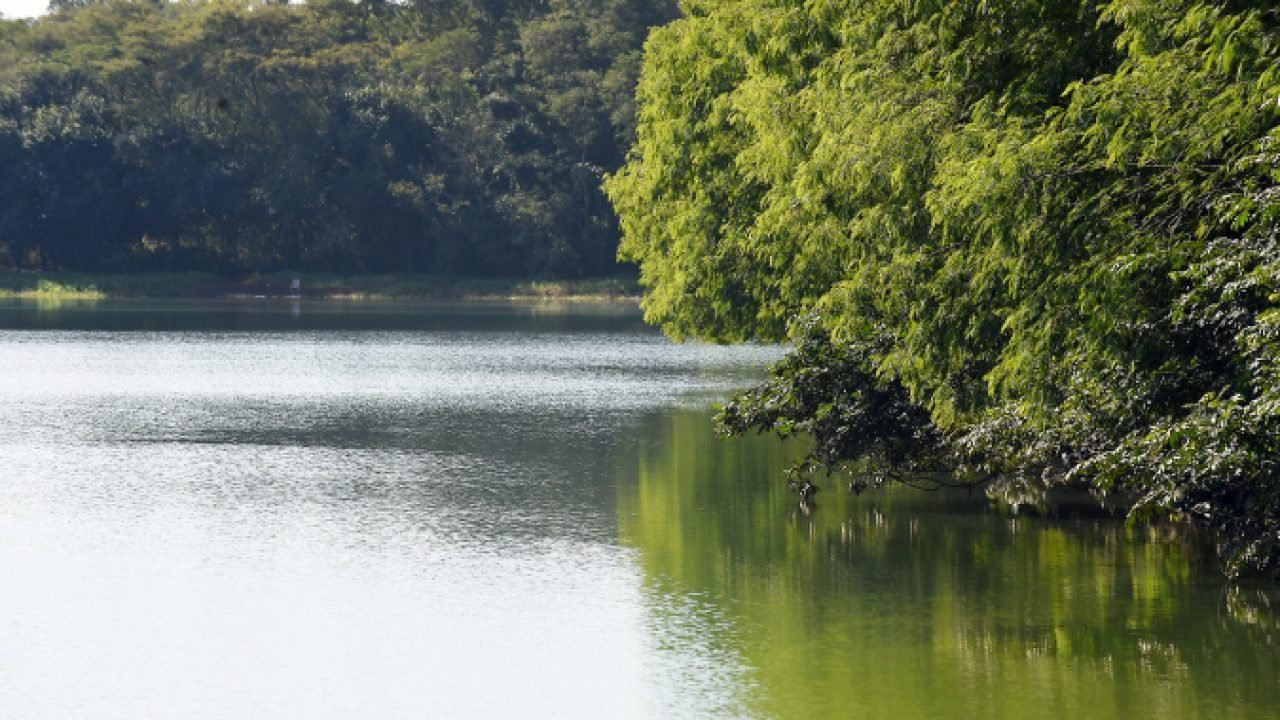 IAT emitiu 2.548 outorgas para o uso da água no Paraná em 2025