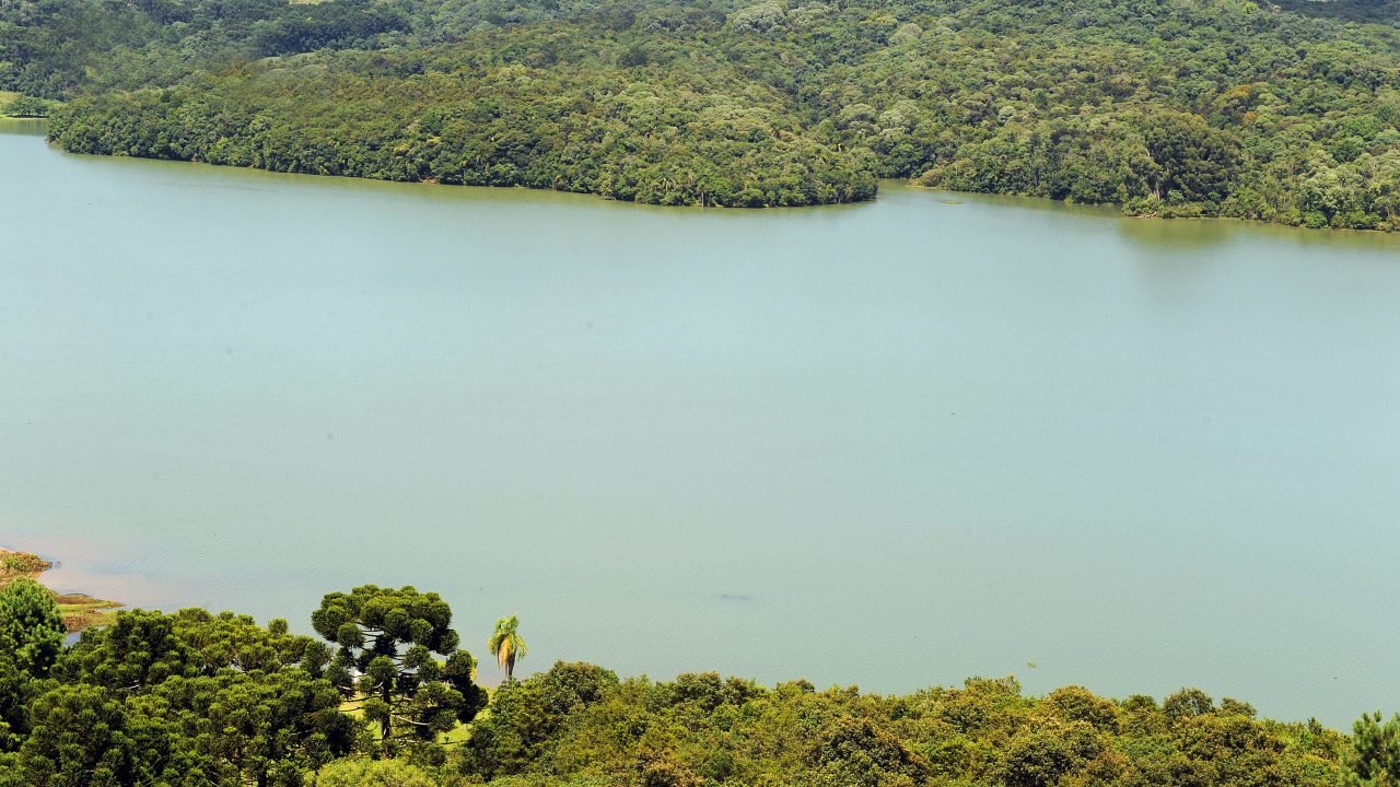 Foto: Governo do Paraná