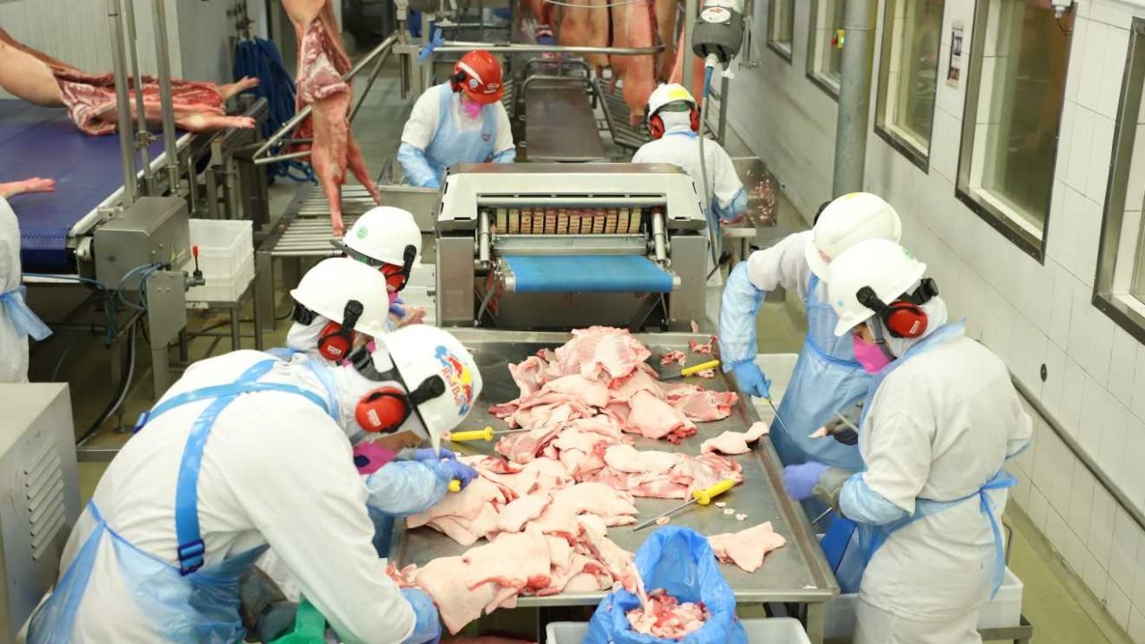 parana-producao-carne-frango-leite-ibge