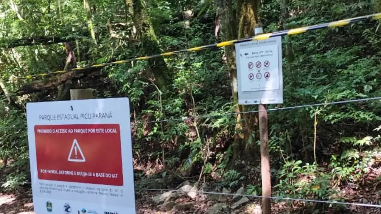 Foto: https://massa.com.br/servicos-informacoes-uteis/onibus-curitiba-integracao