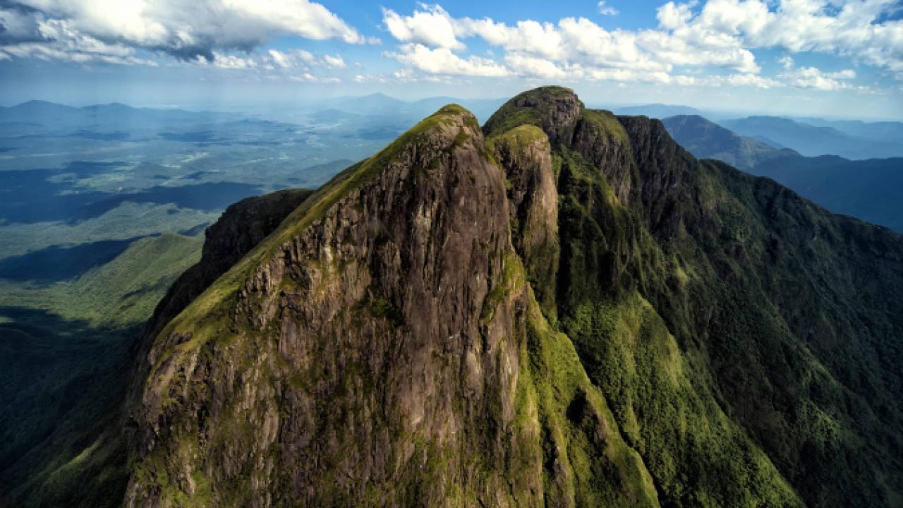 Saúde alerta para cuidados com aranhas no verão