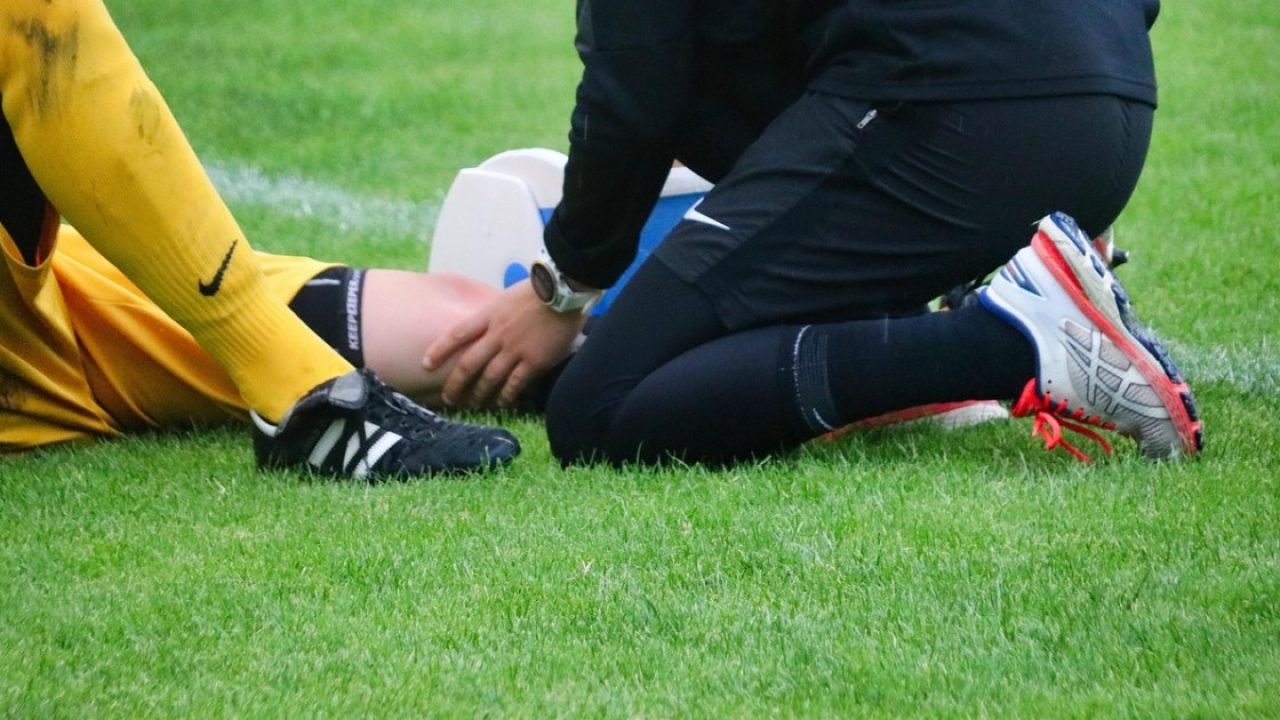 planet_fox-goalkeeper-6514920_1280