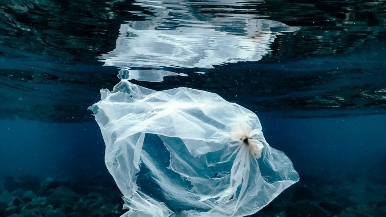 plastico-no-mar