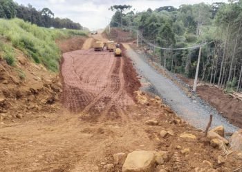 Foto: Governo do Paraná