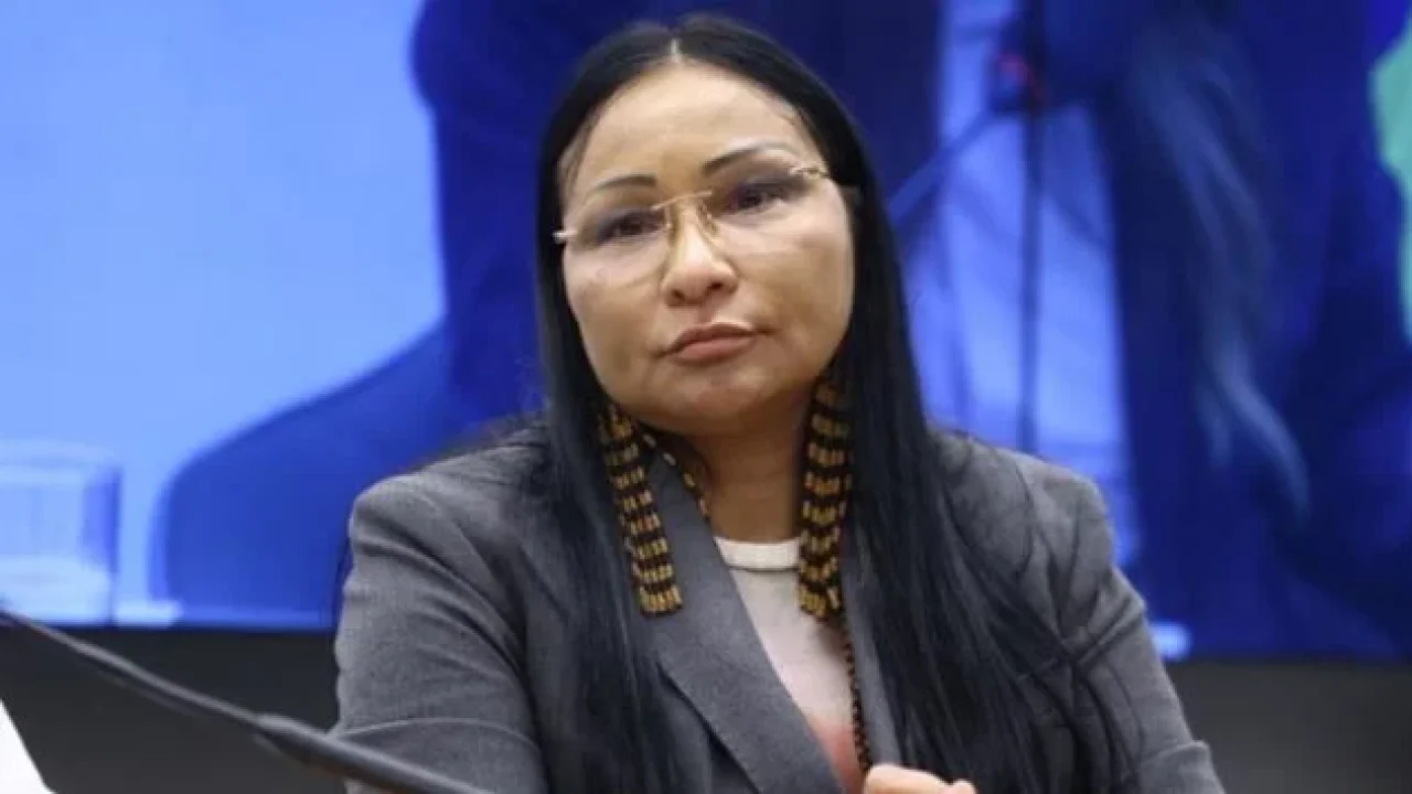 silvia-waiapi-pil-camara-via-congresso