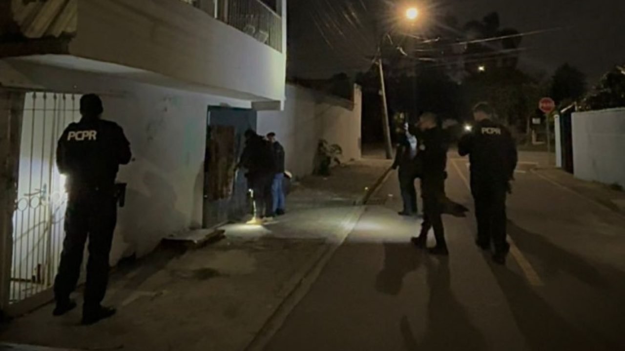 tamandare2.jpg