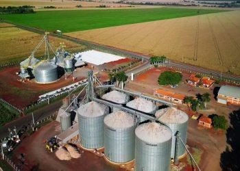 tecnologia-agronegocio-parana