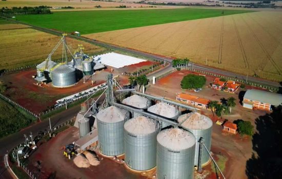 tecnologia-agronegocio-parana