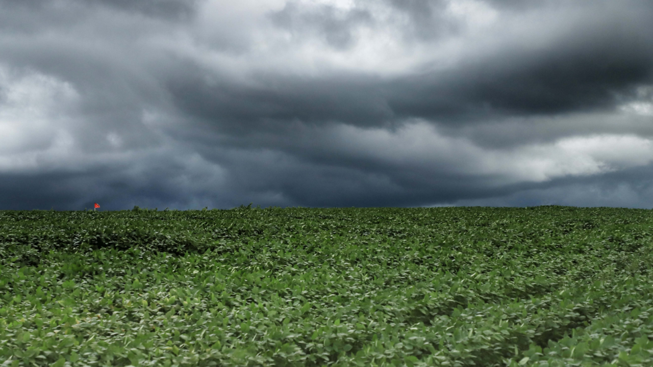 tempestade006651750202608060836