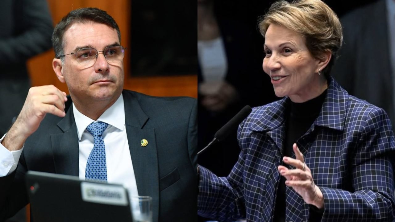tereza-cristina-flavio-bolsonaro