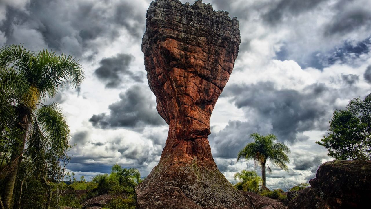 Foto: Governo do Paraná