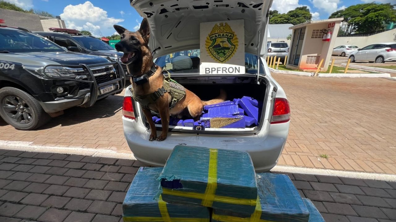 PMPR apreende veículo carregado com 175 quilos de maconha em Cascavel