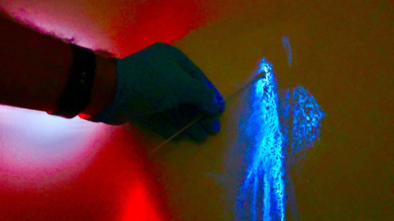 Luminol reforça atuação da Polícia Científica na identificação de vestígios ocultos