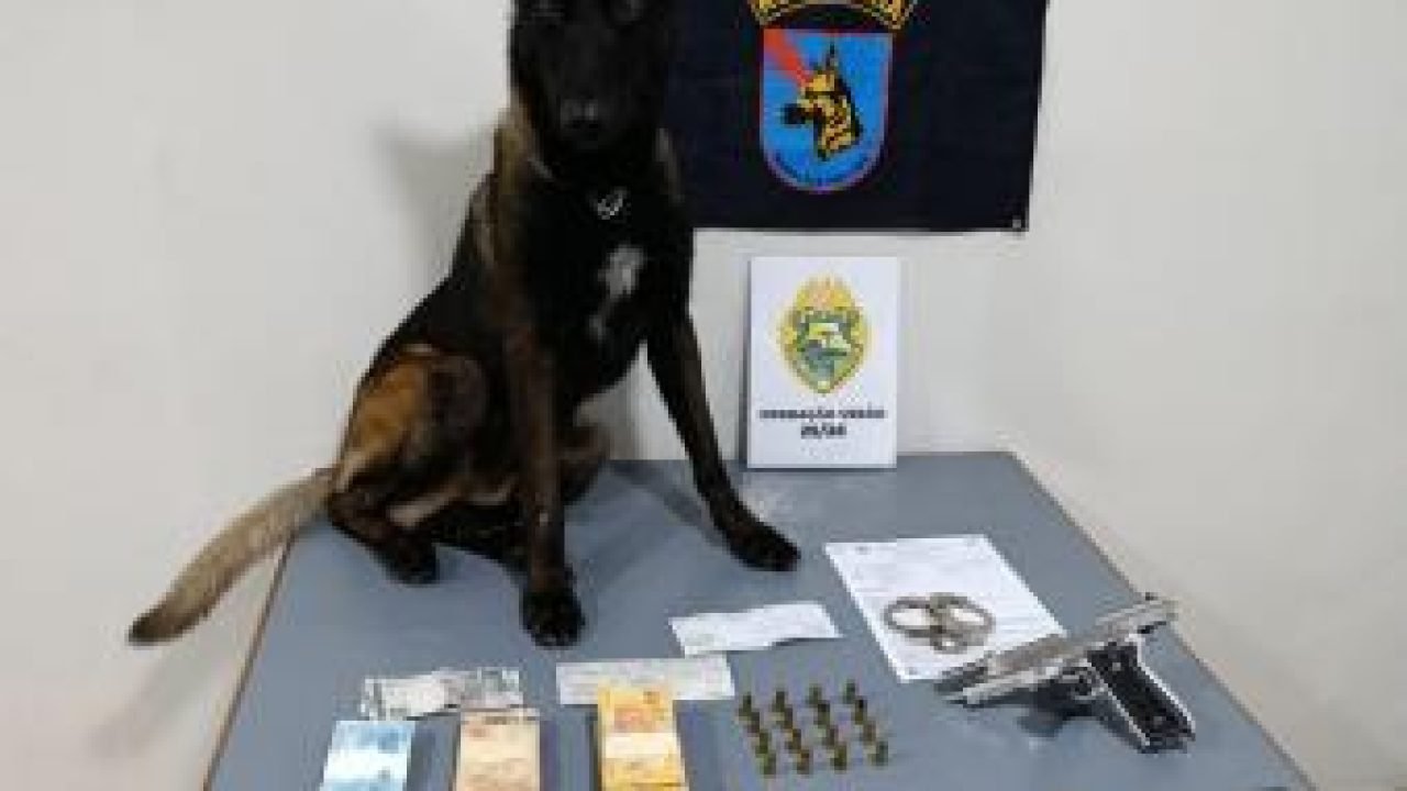 PMPR captura foragido com pistola e R$ 34 mil em Guaratuba