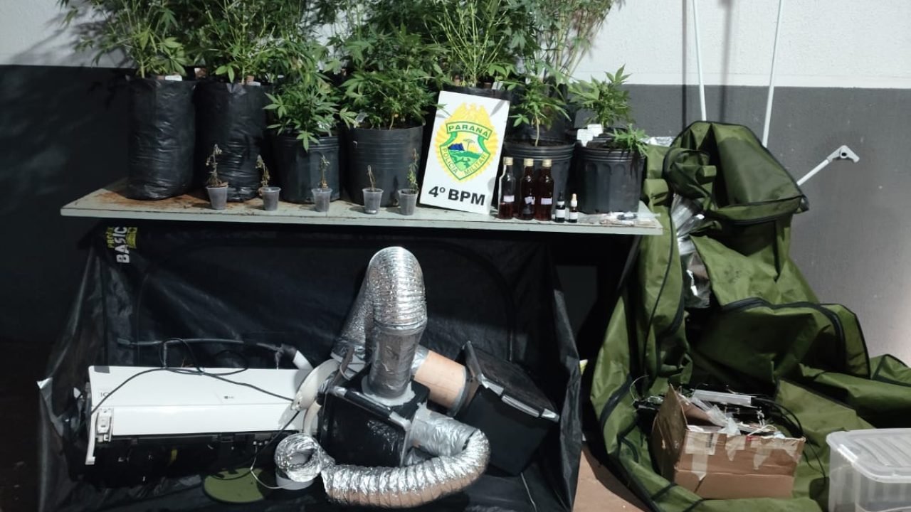 Polícia Militar do Paraná apreende estufas de maconha na área central de Maringá