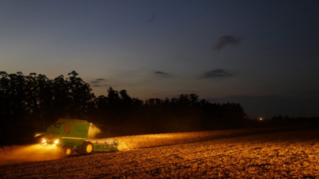Portaria do Paraná amplia período de plantio da soja para produção de sementes