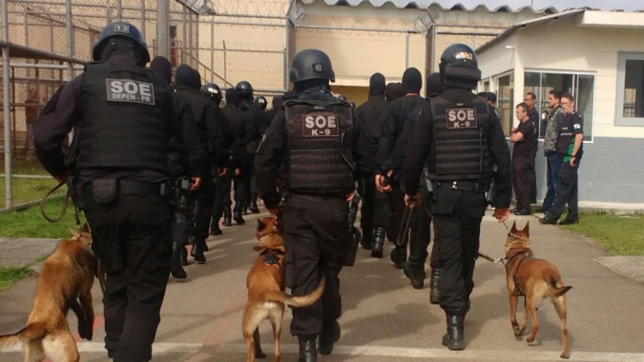 Preparo e tecnologia: Setor de Operações Especiais da Polícia Penal completa 12 anos