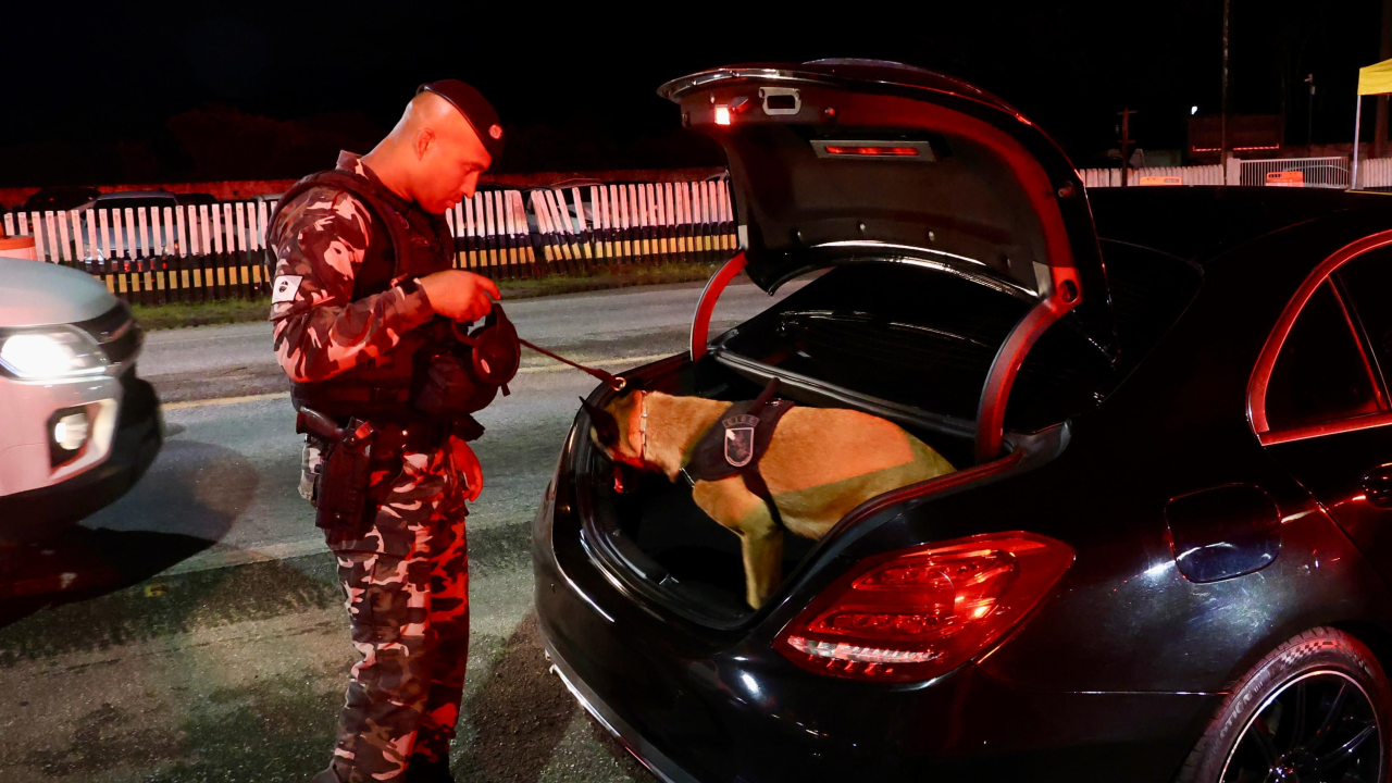 PMPR promove fiscalização integrada com apoio de cães em rodovias do Litoral