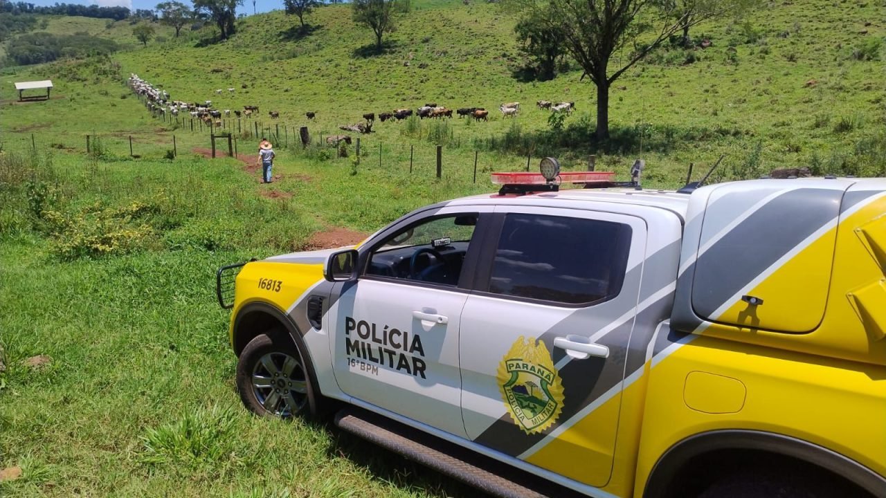 Patrulha Rural Comunitária: Crimes no campo caem mais 50% no Paraná entre 2022 e 2025