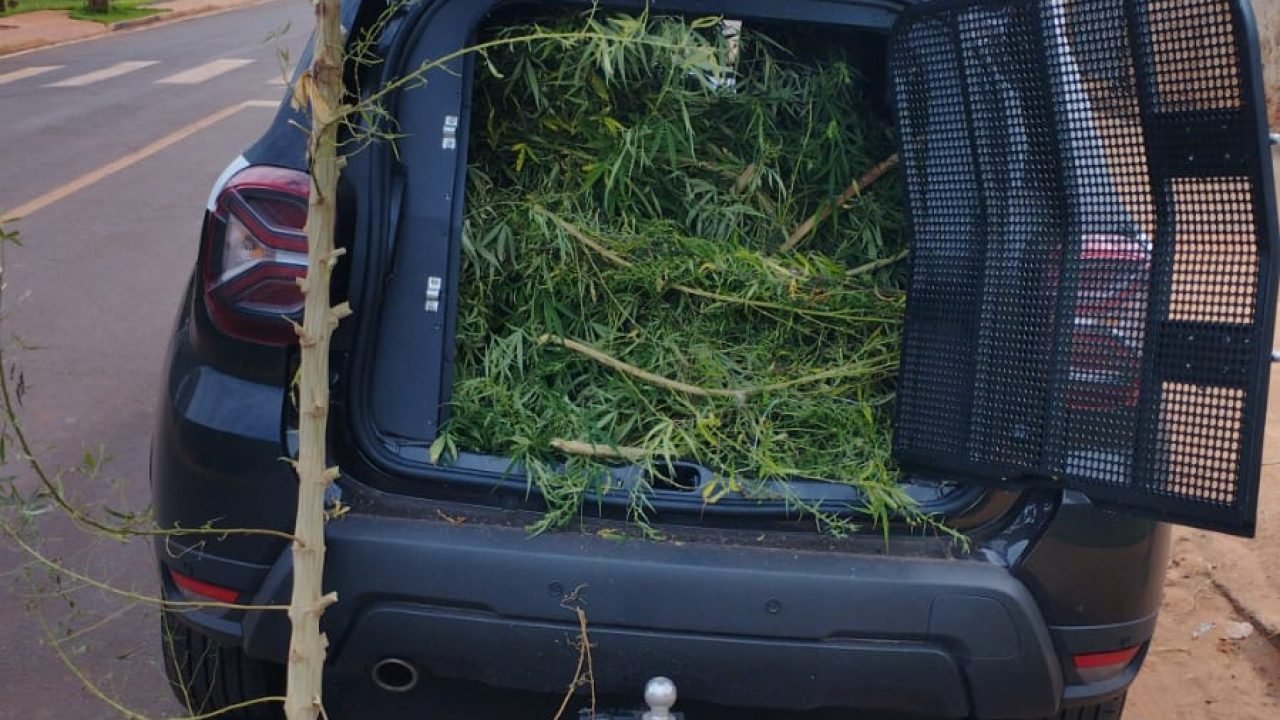 Foto: Governo do Paraná