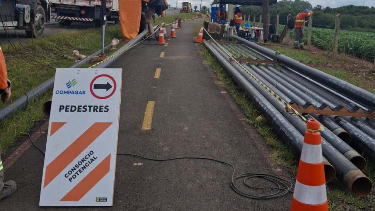 Foto: Governo do Paraná