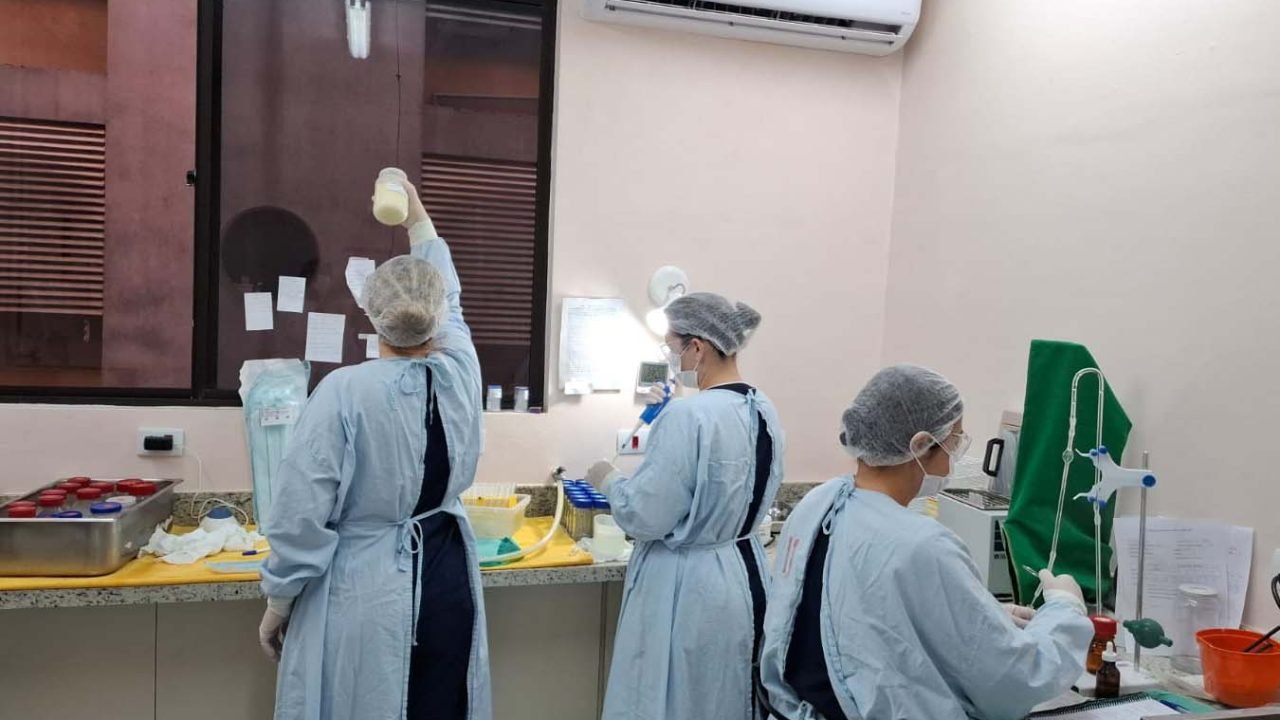 Foto: Governo do Paraná